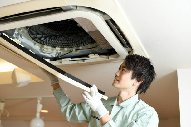 Best Air Duct Cleaning Near Me  in Whitmire, SC